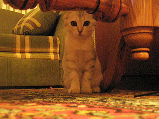 click for enlarge 900 X 675 627,5 Kb picture