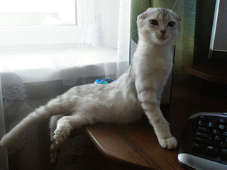 click for enlarge 900 X 675 530,1 Kb picture