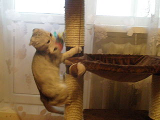 click for enlarge 900 X 675 551,8 Kb picture