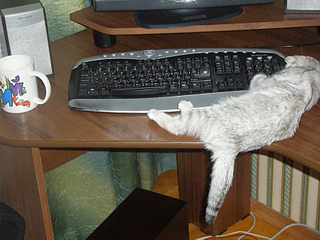 click for enlarge 900 X 675 690,9 Kb picture