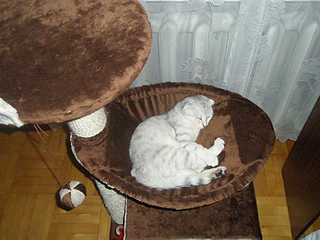 click for enlarge 900 X 675 676,2 Kb picture