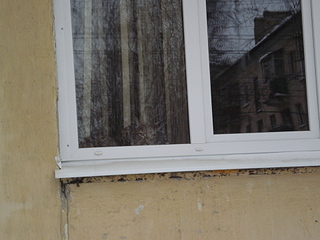 click for enlarge 1920 X 1440 146,7 Kb picture