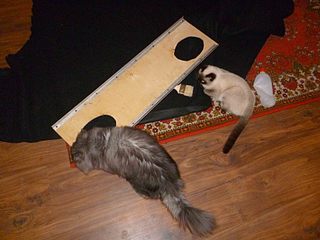 click for enlarge 1920 X 1440 297,7 Kb picture