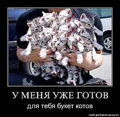 click for enlarge 564 X 550 46,3 Kb picture