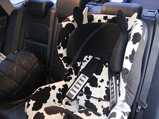 click for enlarge 800 X 600 217,3 Kb picture