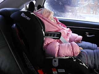 click for enlarge 800 X 600 184,1 Kb picture