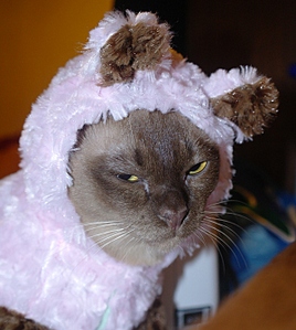 click for enlarge 600 X 670 211,7 Kb picture