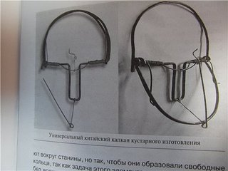 click for enlarge 600 X 450 38,4 Kb picture