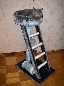 click for enlarge 600 X 800 189,8 Kb picture