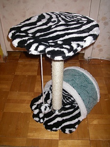 click for enlarge 600 X 800 212,1 Kb picture