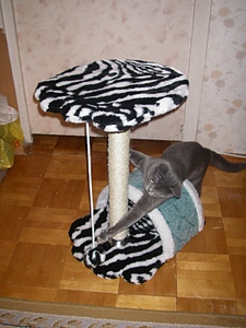 click for enlarge 600 X 800 198,9 Kb picture
