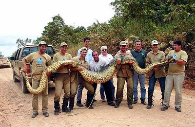 click for enlarge 602 X 393 78,7 Kb picture