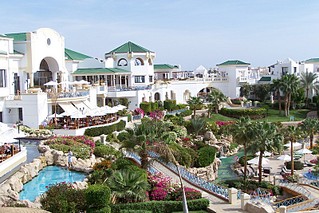 click for enlarge 800 X 533 166,4 Kb picture
