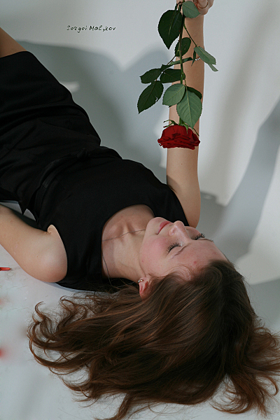 click for enlarge 800 X 1200 506,2 Kb picture