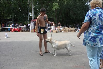 click for enlarge 640 X 427 64,7 Kb picture