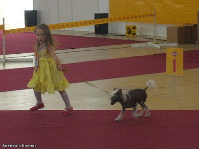 click for enlarge 640 X 480 51,7 Kb picture