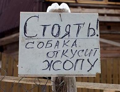 click for enlarge 400 X 308 19,3 Kb picture