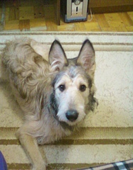 click for enlarge 1151 X 1474 374,3 Kb picture