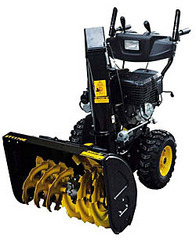 click for enlarge 250 X 306 37,0 Kb picture