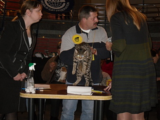 click for enlarge 1920 X 1440 838,7 Kb picture