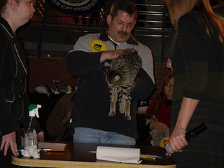 click for enlarge 1920 X 1440 828,4 Kb picture