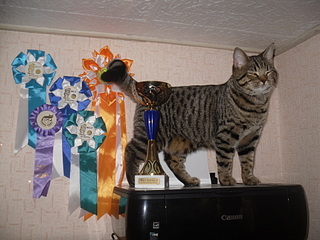 click for enlarge 1920 X 1440 820,6 Kb picture