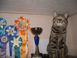 click for enlarge 1920 X 1440 814,6 Kb picture