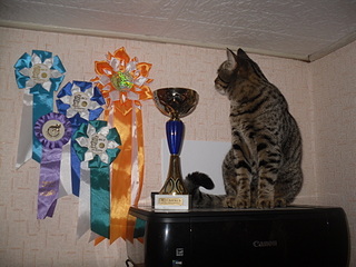 click for enlarge 1920 X 1440 780,0 Kb picture