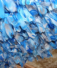 click for enlarge 1715 X 2056 462,7 Kb picture