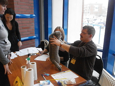 click for enlarge 1920 X 1440 875,6 Kb picture