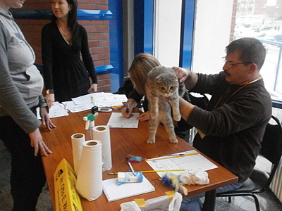 click for enlarge 1920 X 1440 941,9 Kb picture