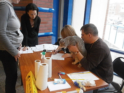 click for enlarge 1920 X 1440 939,9 Kb picture