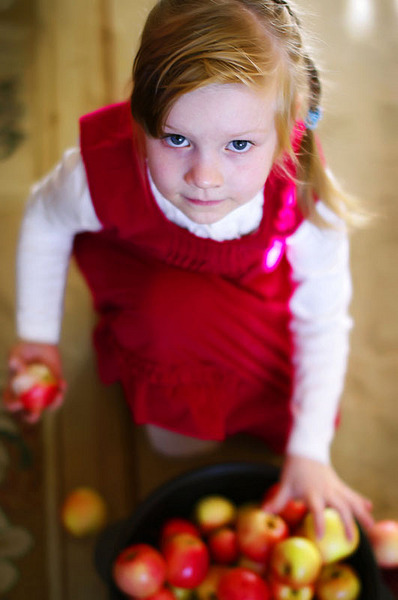 click for enlarge 531 X 800 71,5 Kb picture
