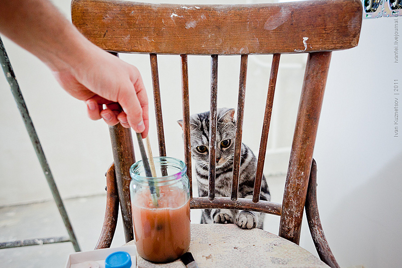 click for enlarge 900 X 600 310,5 Kb picture