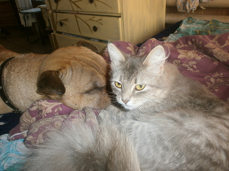 click for enlarge 1920 X 1440 912,5 Kb picture