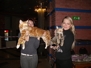 click for enlarge 1920 X 1440 875,6 Kb picture