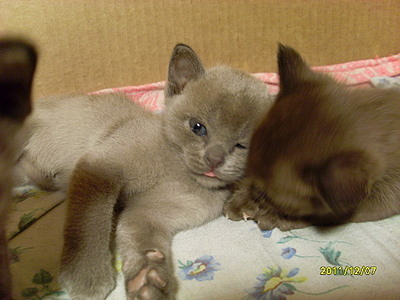 click for enlarge 1024 X 768 290,4 Kb picture