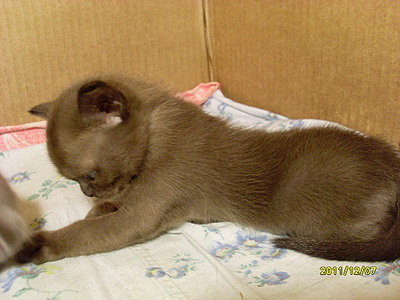 click for enlarge 1024 X 768 289,1 Kb picture