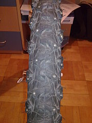 click for enlarge 1536 X 2048 541,4 Kb picture