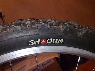 click for enlarge 1920 X 1440 356,8 Kb picture