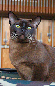 click for enlarge 952 X 1484 257,8 Kb picture