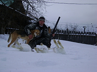 click for enlarge 640 X 480 145,0 Kb picture