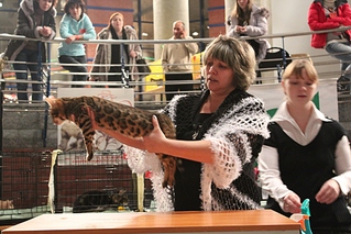 click for enlarge 1024 X 683 359,3 Kb picture