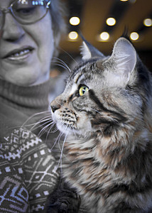 click for enlarge 1920 X 2687 348,8 Kb picture