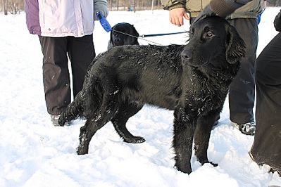 click for enlarge 800 X 533 142,4 Kb picture
