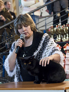 click for enlarge 1920 X 2558 376,8 Kb picture