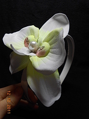 click for enlarge 1920 X 2560 233,2 Kb picture