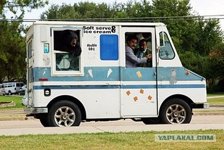 click for enlarge 550 X 367 62,7 Kb picture