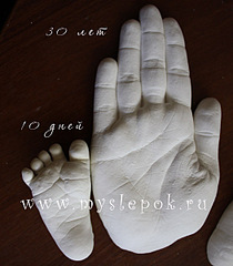 click for enlarge 526 X 600 81,2 Kb picture