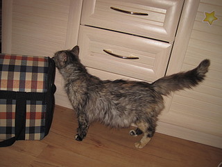 click for enlarge 1920 X 1440 505,7 Kb picture